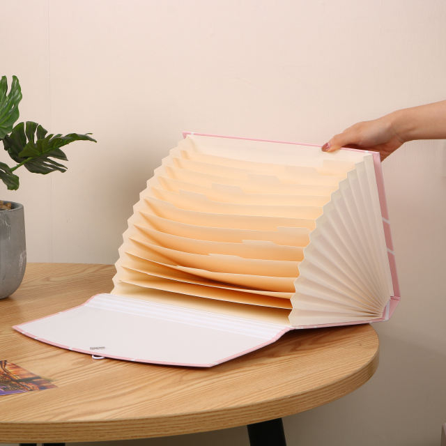 Оптовая индивидуальная логотип A4 Размер картонных документов Организатор Расширение папки Файл Школа Школа Симпатичные бумажные пакеты