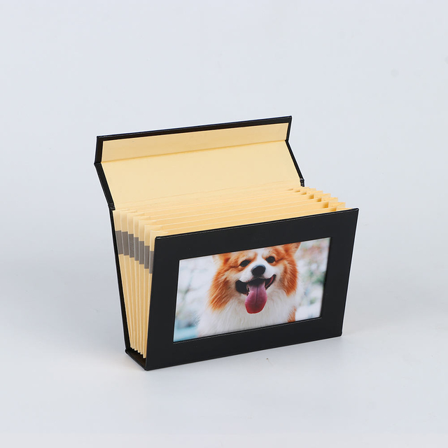 OEM 4x6 Custom Accordion Style Paper Photo -Almb